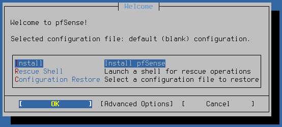 pfSense installer disk selection