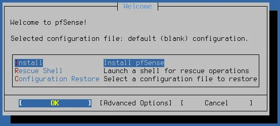 Выбор диска в установщике pfSense